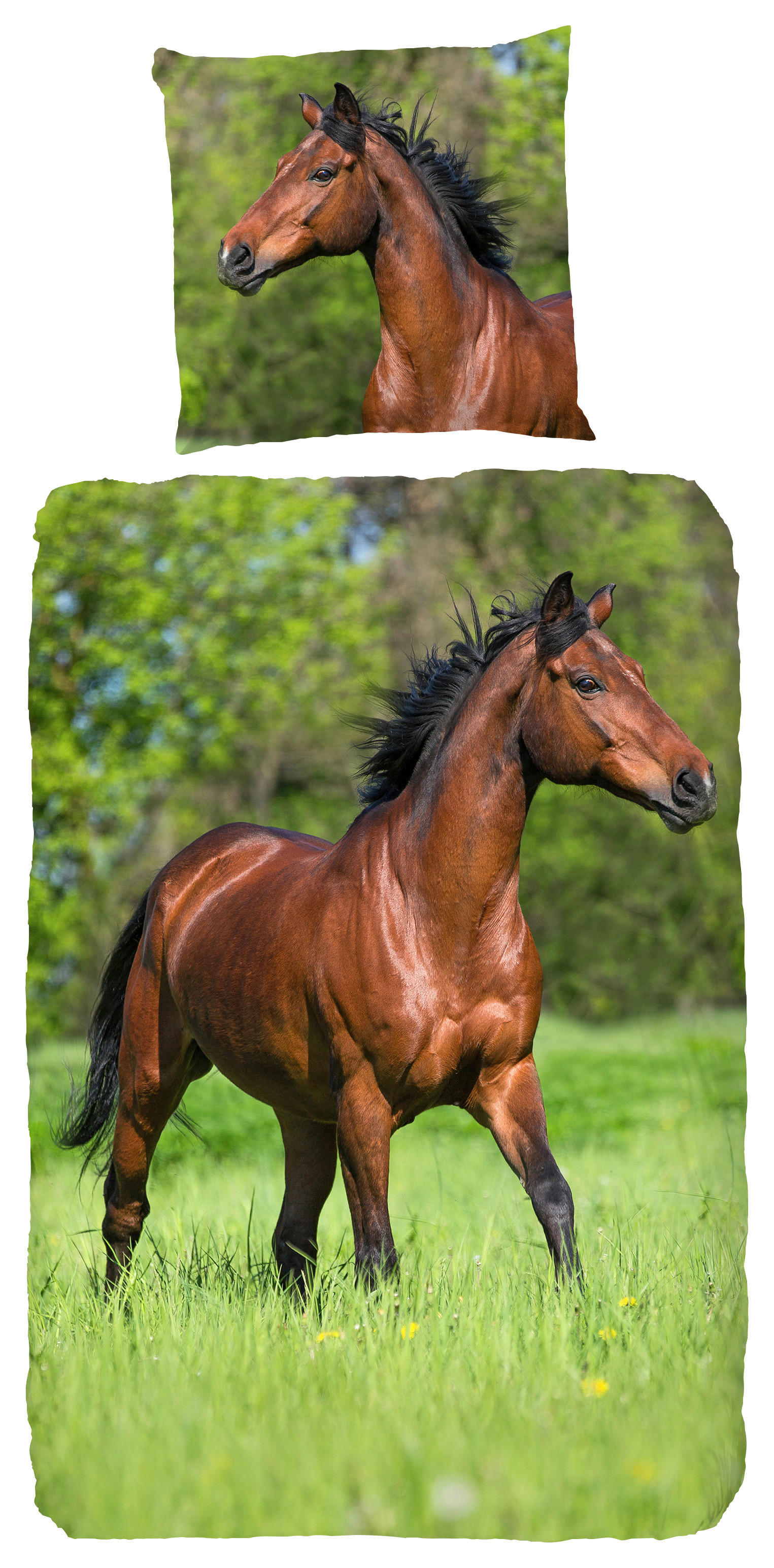 Baumwoll Bettwäsche Running Horse Renforce Running Horse - Multi (135,00/200,00cm) - Good Morning
