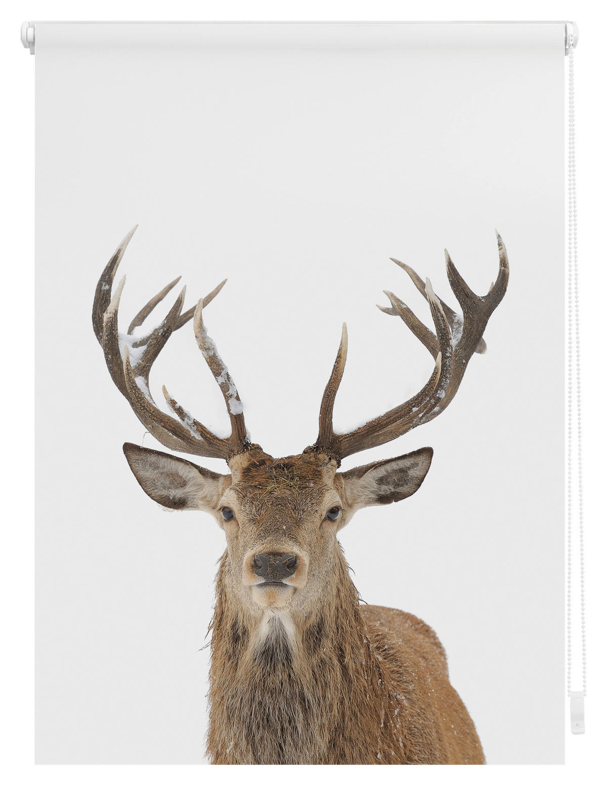 Rollo Hirsch braun B/L: ca. 60x150 cm Hirsch - braun (60,00/150,00cm) - LICHTBLICK