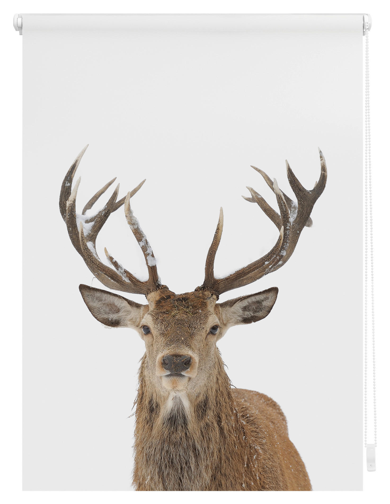 Thumbnail - LICHTBLICK Rollo Hirsch braun B/L: ca. 70x150 cm