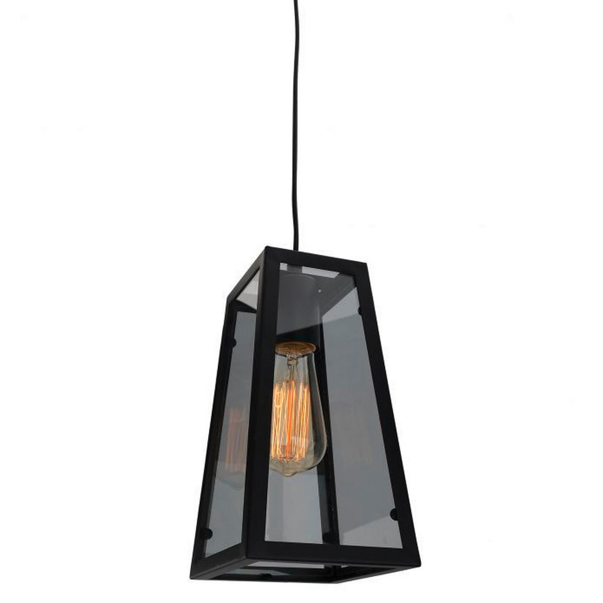 Näve Leuchten Pendelleuchte schwarz glasklar Metall Glas H: ca. 150 cm E27 1 Brennstellen Alex - schwarz/glasklar (150,00cm) - Näve Leuchten
