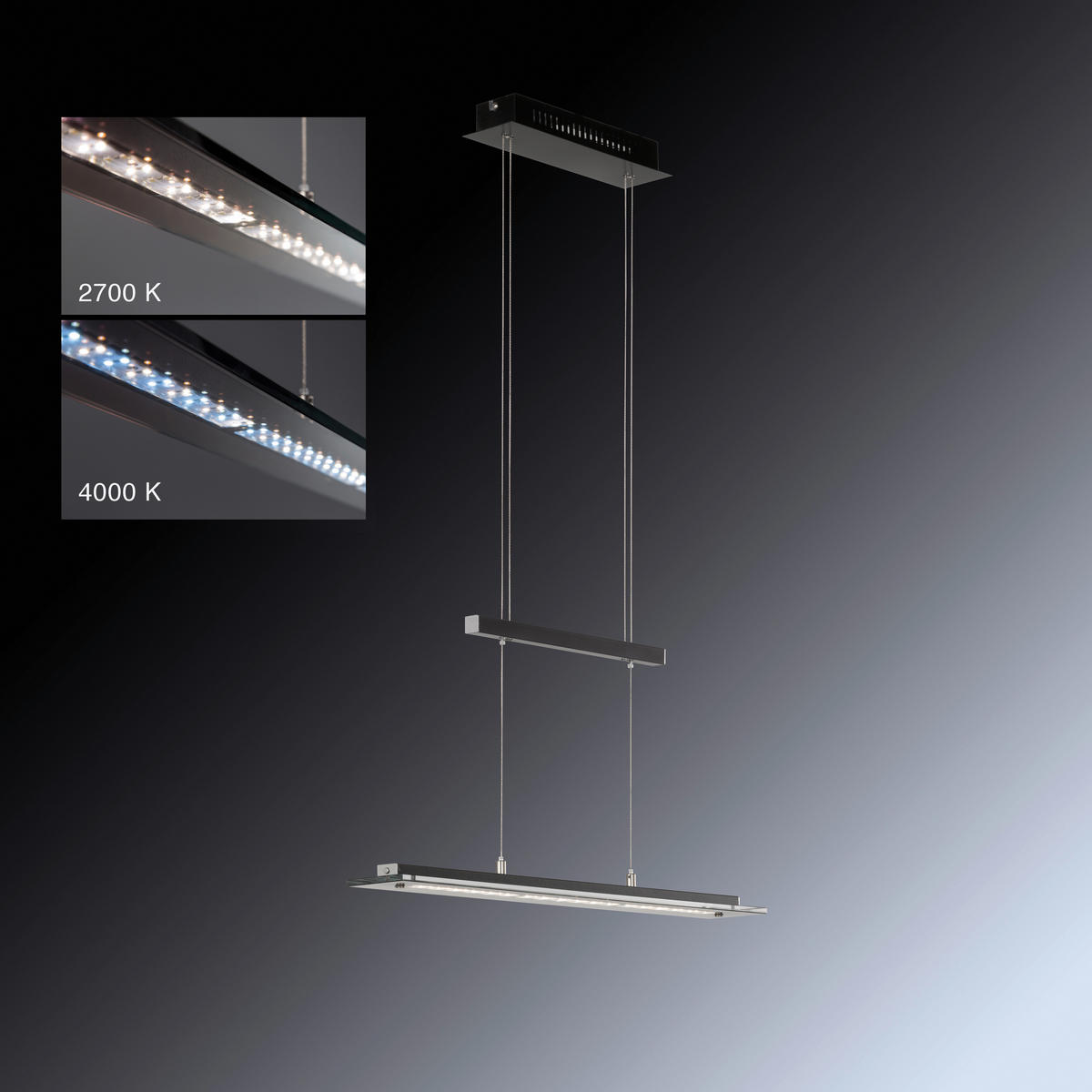 Fischer & Honsel LED-Pendelleuchte 60442 Rauch Chrom schwarz Glas Metall B/H/T: ca. 88x150x9 cm 1.0 Brennstellen Tenso TW - schwarz/Rauch (88,00/150,00/9,00cm) - Fischer & Honsel
