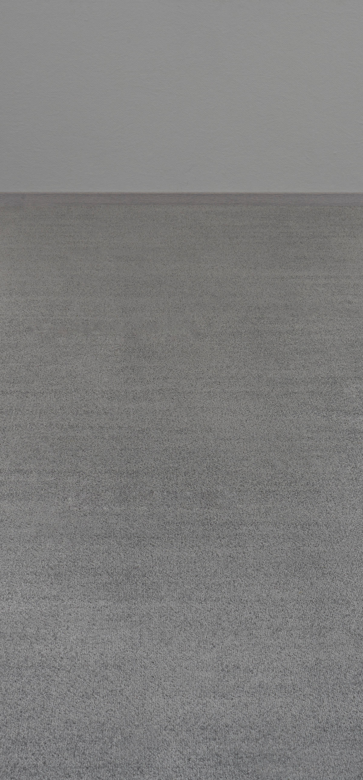 Teppichboden Dynasty grau B: ca. 400 cm pro m² Dynasty - grau (400,00cm)