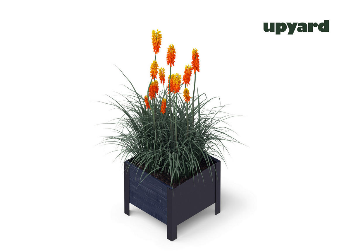 UPYARD Hochbeet MODERN schwarz Holz B/H/L: ca. 36x32x36 cm MODERN - schwarz (36,00/36,00/32,00cm) - UPYARD