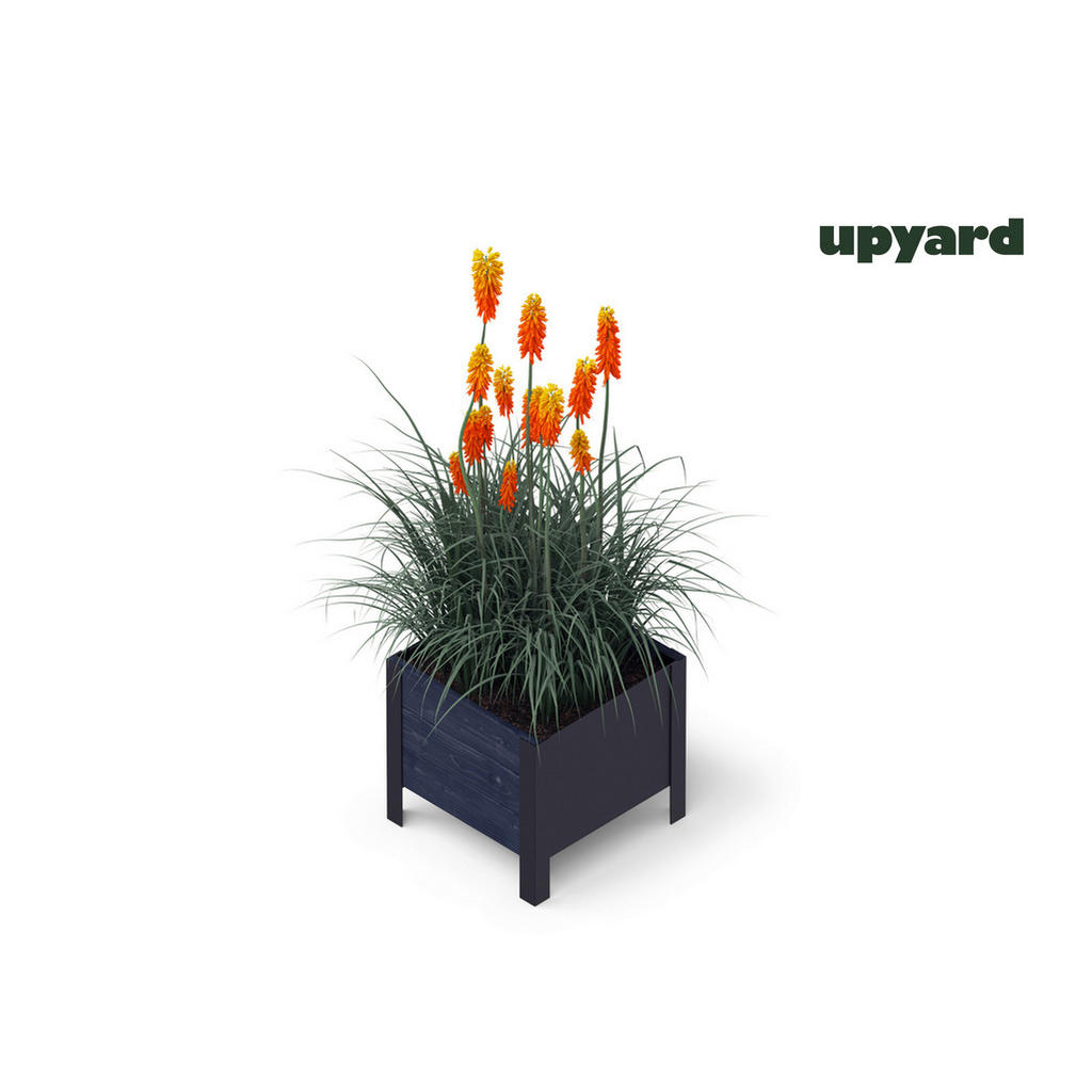 Thumbnail - UPYARD Hochbeet MODERN schwarz Holz B/H/L: ca. 36x32x36 cm