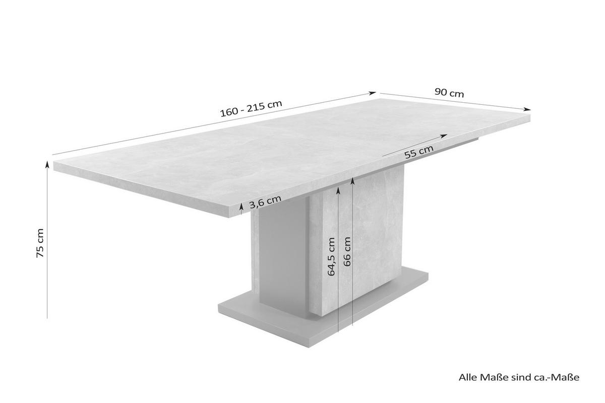 Tisch BRITTA Beton Optik anthrazit B/H/T: ca. 160x75x90 cm BRITTA - Beton/anthrazit (160,00/75,00/90,00cm) - byLIVING
