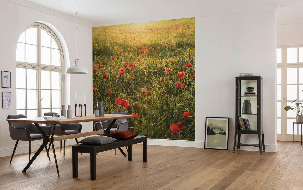 Komar Fototapete Poppy World B/L: ca. 250x280 cm Poppy World - (250,00/280,00cm) - Komar