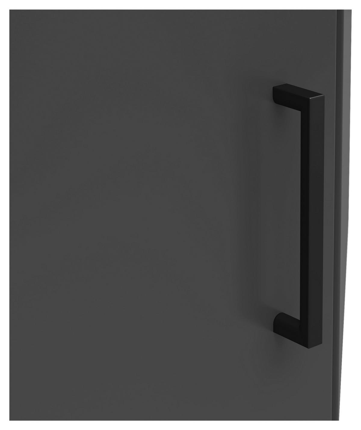 Schrank Multi-Stauraum Typ 40 anthrazit B/H/T: ca. 101x35x79 cm Multi-Stauraum Typ 40 - anthrazit (101,00/35,00/79,00cm)