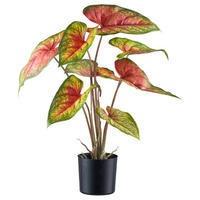 Kunstpflanze Caladium Red Flash grün Kunststoff B/H/L: ca. 17x55x17 cm Caladium Red Flash - rot/grün (17,00/17,00/55,00cm)