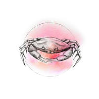 Komar Poster Crab Watercolor Crab Watercolor - Komar