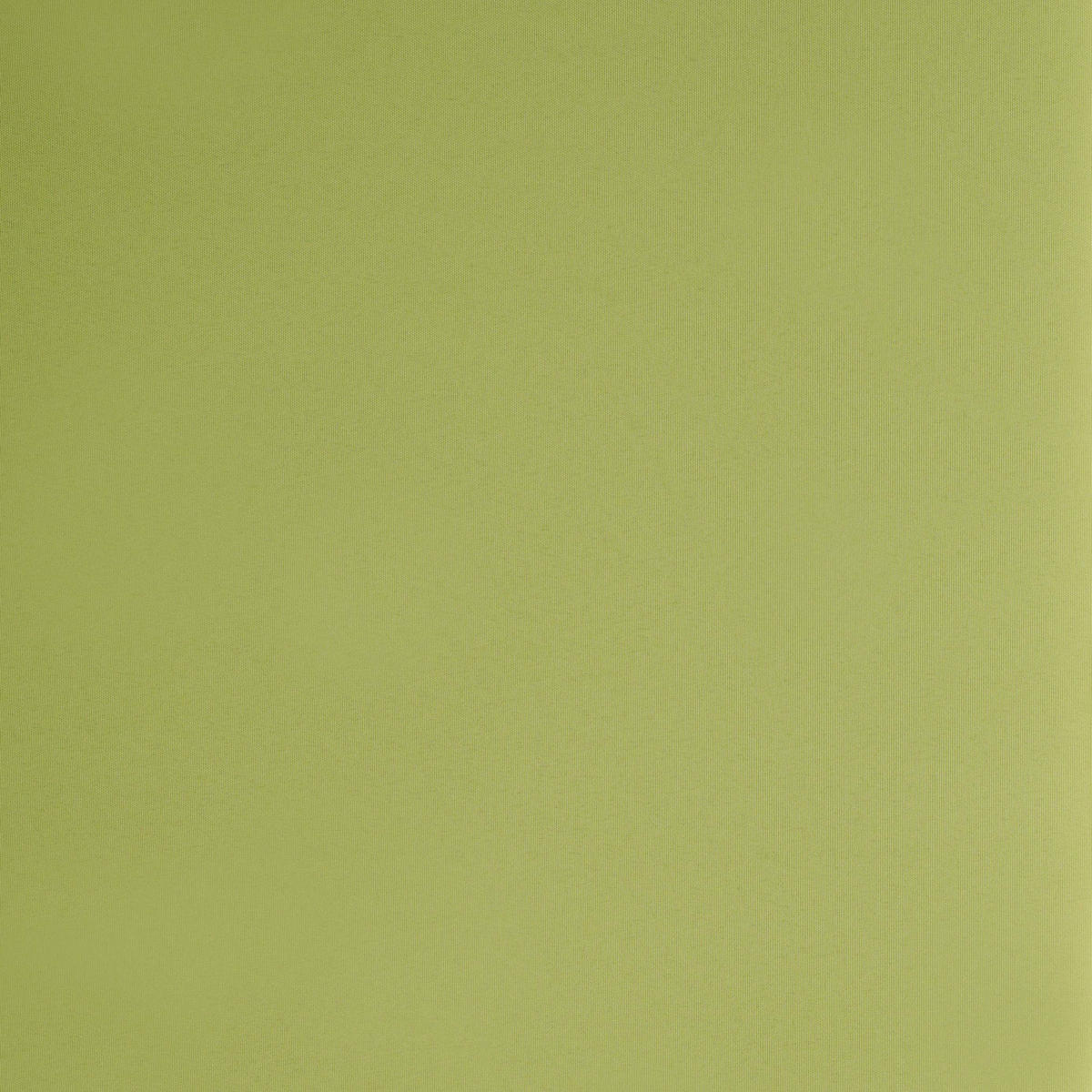 Tageslichtrollo zum klemmen grün B/L: ca. 60x160 cm Rollo_Tageslicht_Klemmfix_Win - grün (60,00/160,00cm)