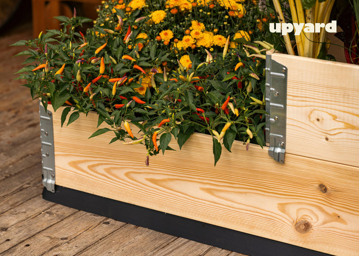 UPYARD Stufenbeet INDUSTRIAL natur Holz B/L: ca. 30x80 cm INDUSTRIAL - natur (30,00/80,00cm) - UPYARD