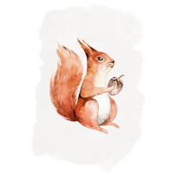 Komar Poster Hungry Squirrel Eichhörnchen B/L: ca. 30x40 cm Hungry Squirrel - (30,00/40,00cm) - Komar