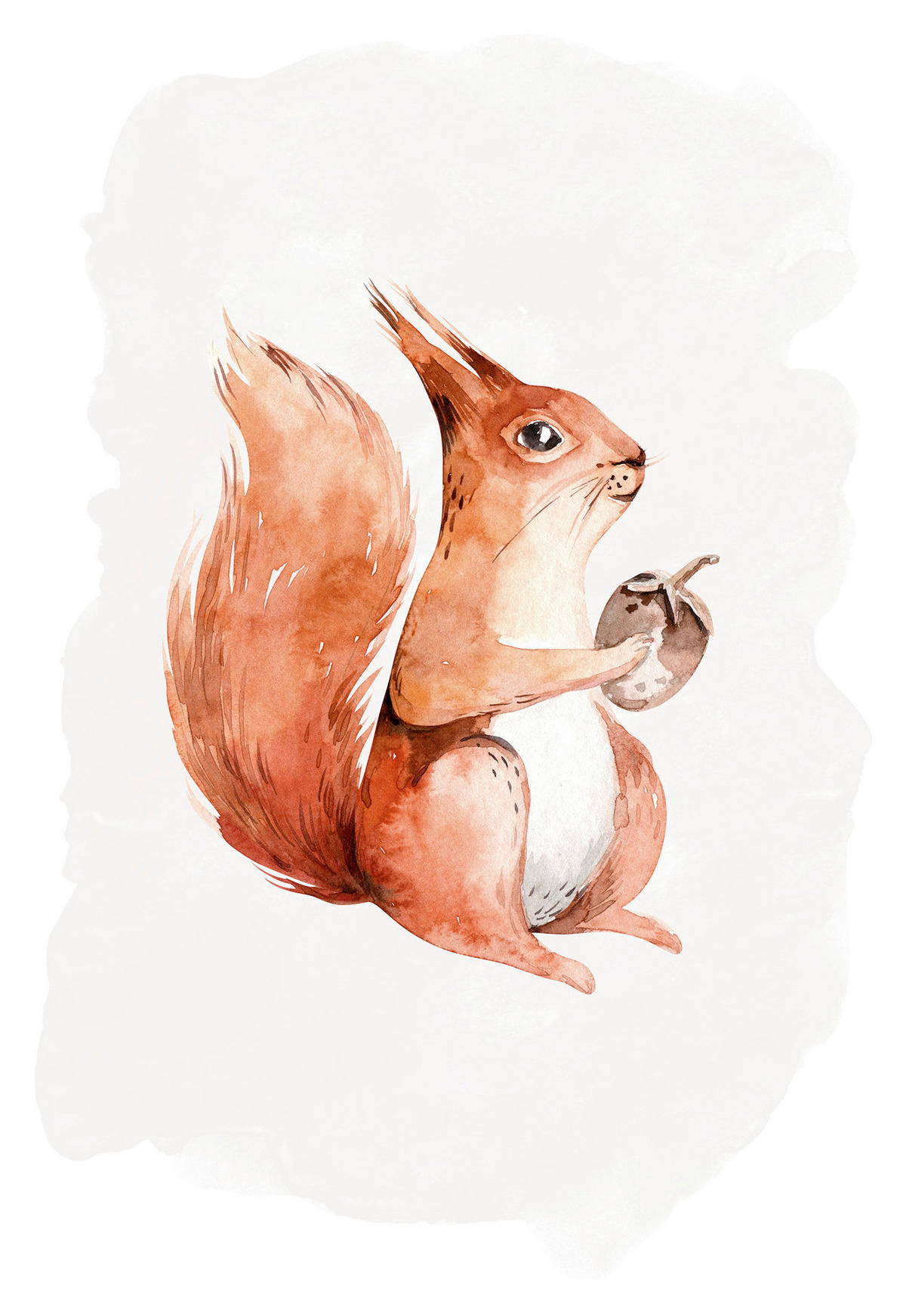 Komar Poster Hungry Squirrel Eichhörnchen B/L: ca. 30x40 cm Hungry Squirrel - (30,00/40,00cm) - Komar