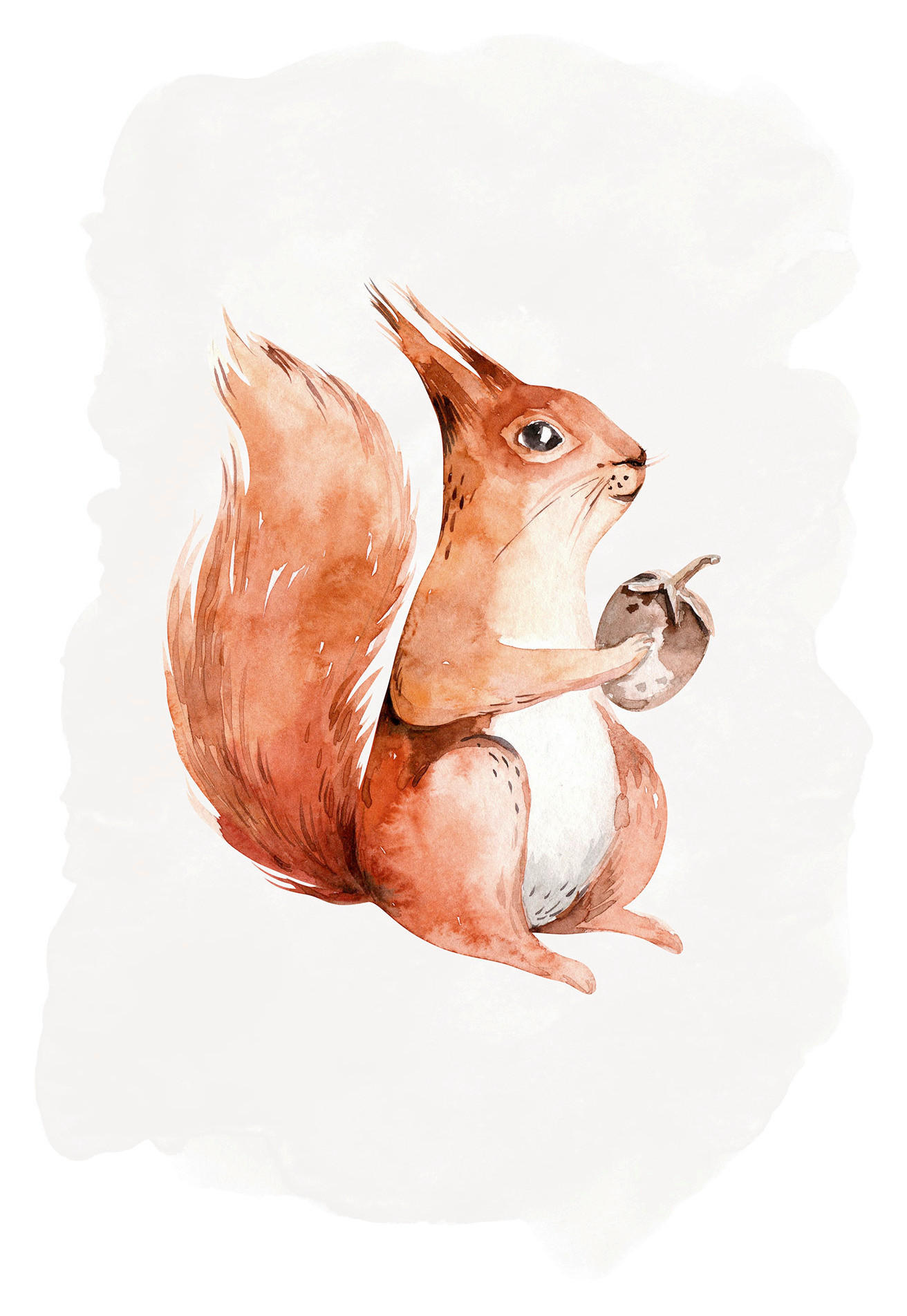 Komar Wandbild Hungry Squirrel Eichhörnchen B/L: ca. 30x40 cm günstig online kaufen