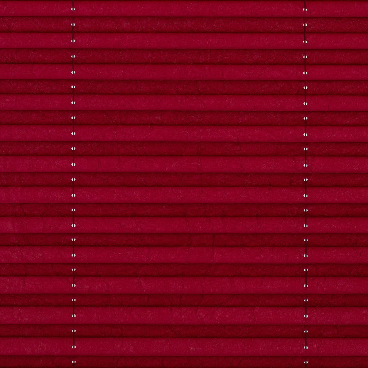 LICHTBLICK Spannplissee brombeer B/L: ca. 95x130 cm Plissee_Klemmfix - brombeer (95,00/130,00cm) - LICHTBLICK