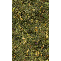 Komar Fototapete Bergheu B/L: ca. 150x250 cm Bergheu - (150,00/250,00cm) - Komar