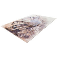 Obsession Teppich My Dream weiß B/L: ca. 160x230 cm My Dream - braun/weiß (160,00/230,00cm) - Obsession