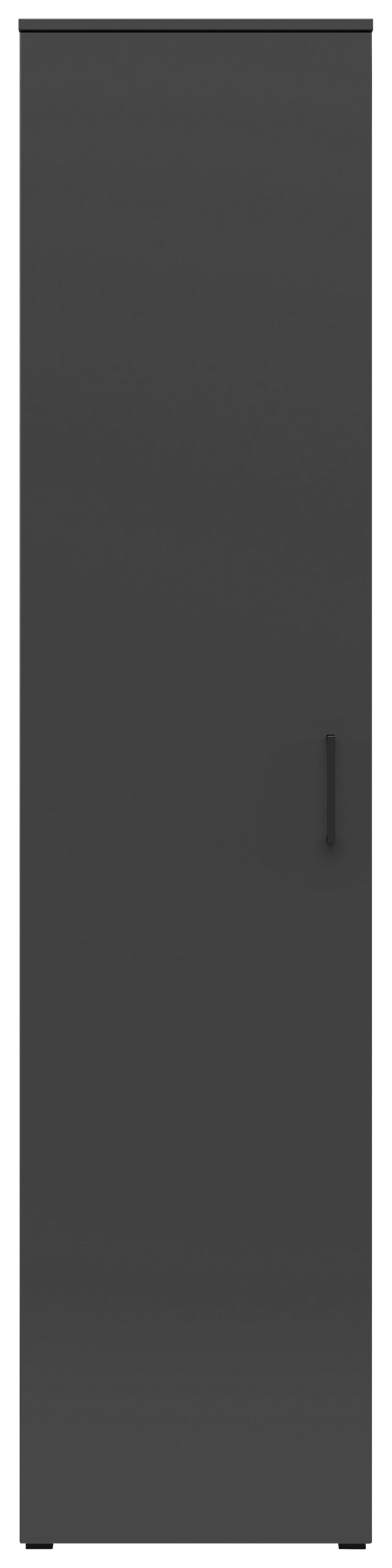 Schrank Multi-Stauraum Typ 20 anthrazit B/H/T: ca. 45x195x40 cm Multi-Stauraum Typ 20 - anthrazit (45,00/195,00/40,00cm)
