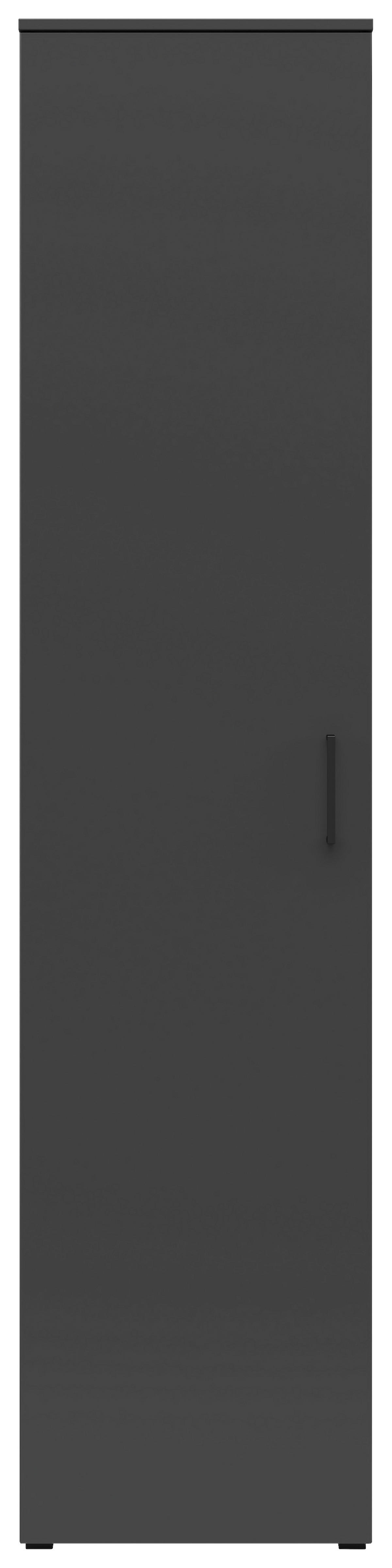 Schrank Multi-Stauraum Typ 20 anthrazit B/H/T: ca. 45x195x40 cm Multi-Stauraum Typ 20 - anthrazit (45,00/195,00/40,00cm)