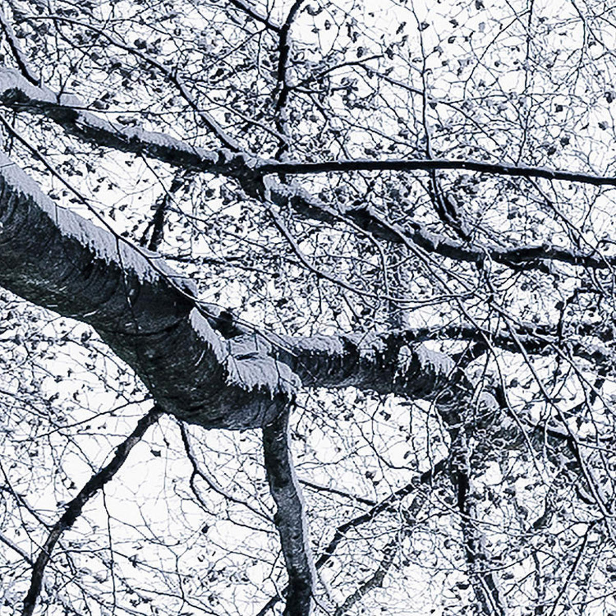 Komar Fototapete Up B/L: ca. 400x250 cm Up - (400,00/250,00cm) - Komar