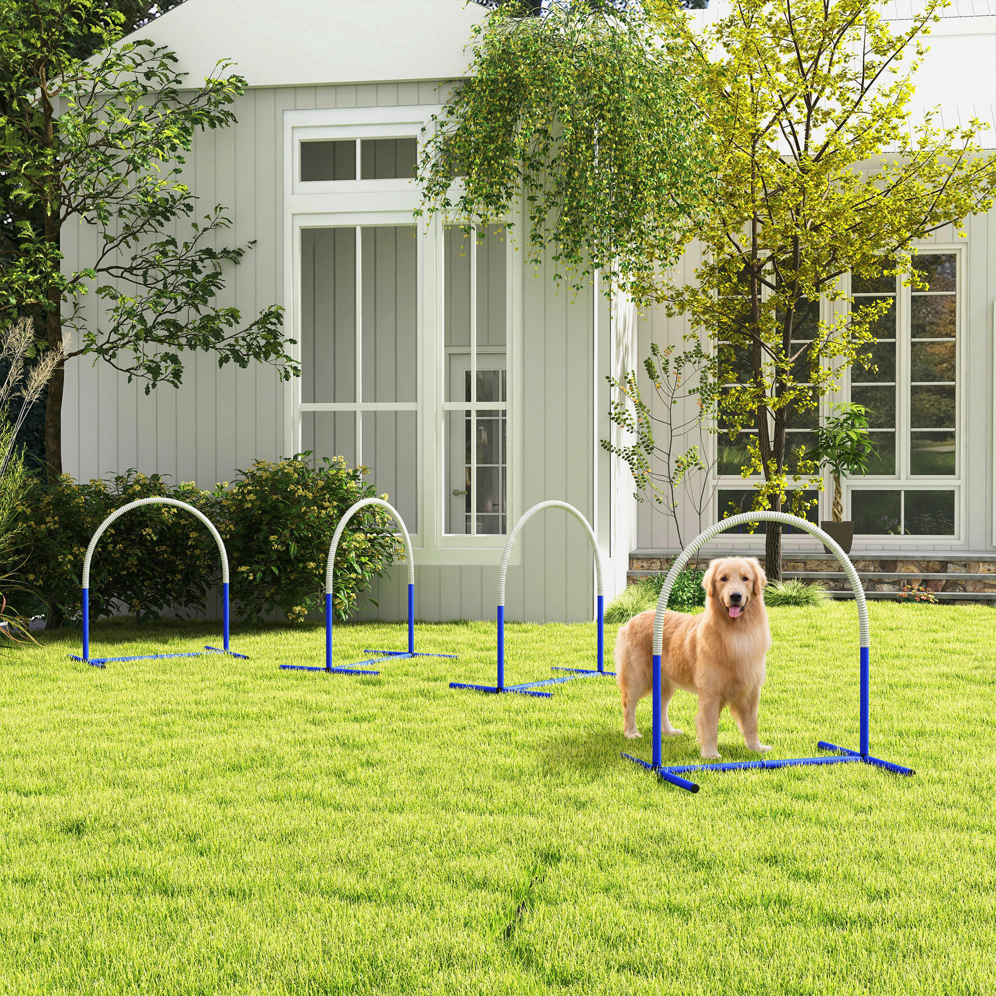 PawHut Hunde-Agility-Set blau Kunststoff B/H/L: ca. 64x95x88 cm Hunde-Agility-Set - blau/weiß (88,00/64,00/95,00cm) - PawHut
