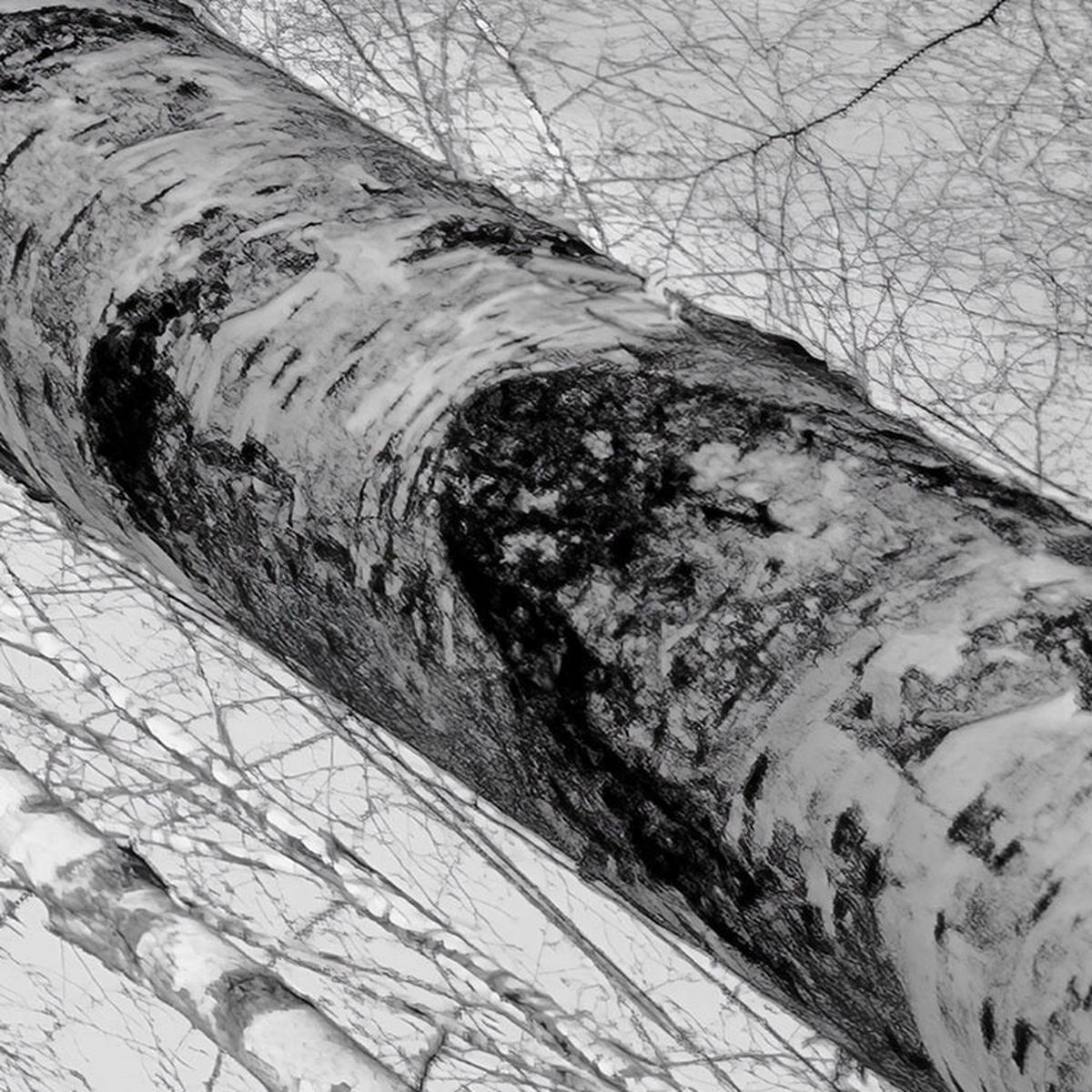 Komar Fototapete Weiß Blau B/L: ca. 450x280 cm Weiß Blau - (450,00/280,00cm) - Komar