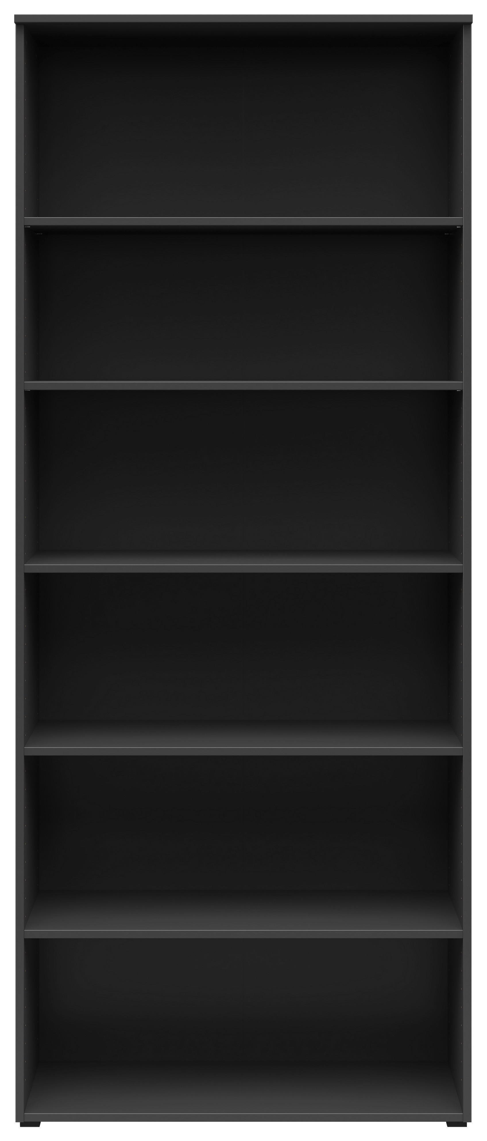 Regal Multi-Stauraum Typ 36 anthrazit B/H/T: ca. 80x195x40 cm Multi-Stauraum Typ 36 - anthrazit (80,00/195,00/40,00cm)