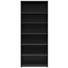 Regal Multi-Stauraum Typ 36 anthrazit B/H/T: ca. 80x195x40 cm Multi-Stauraum Typ 36 - anthrazit (80,00/195,00/40,00cm)