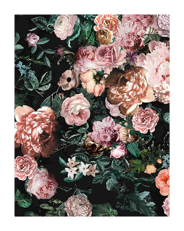 Komar Poster Charming Wild Rosen B/L: ca. 40x50 cm