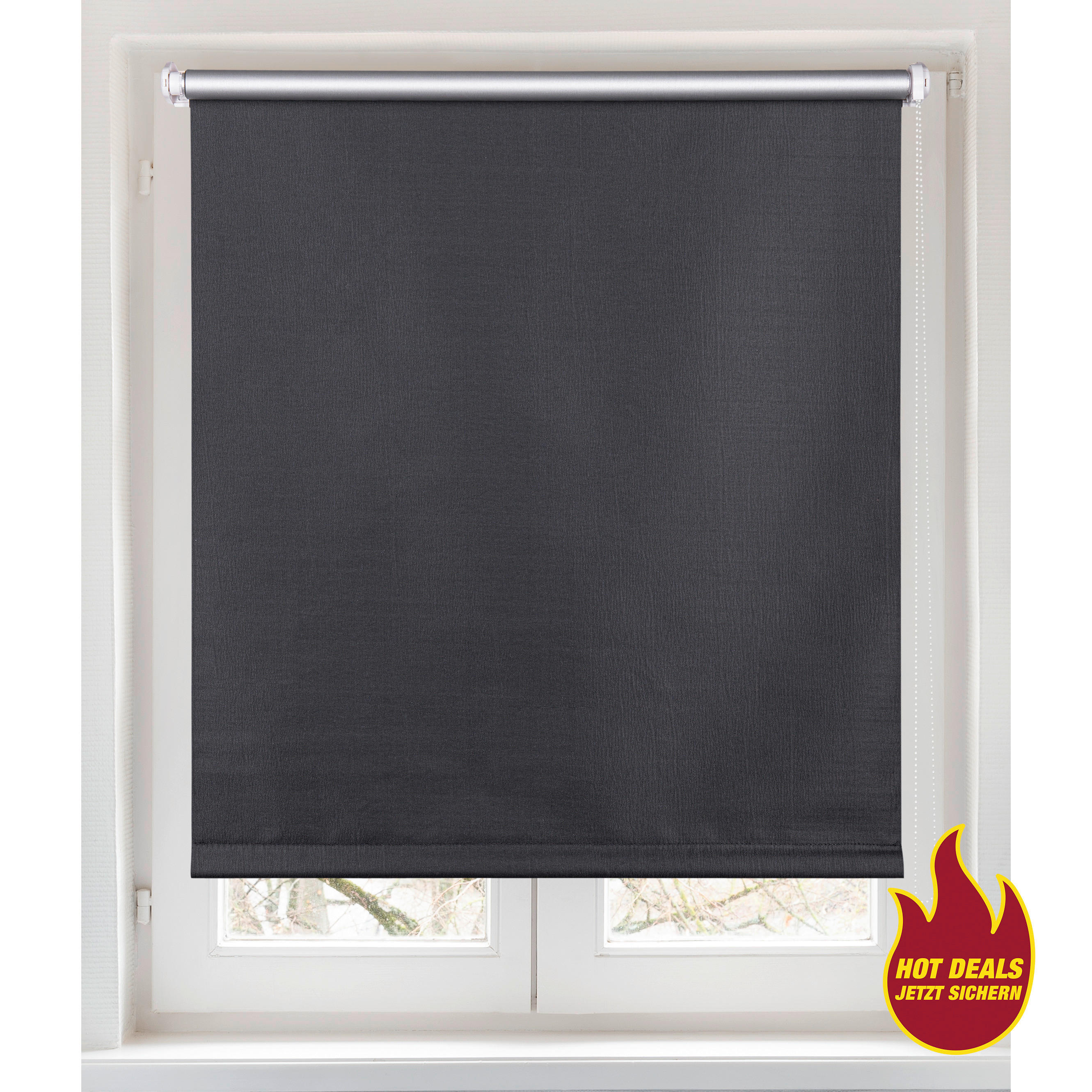 Verdunklungsrollo Darkness anthrazit B/L: ca. 60x150 cm Darkness - anthrazit (60,00/150,00cm)