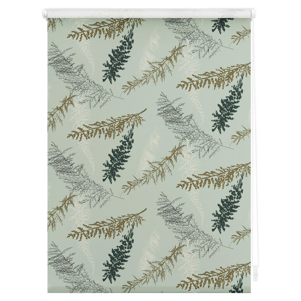 Thumbnail - LICHTBLICK Rollo Fir Branches grün B/L: ca. 90x150 cm