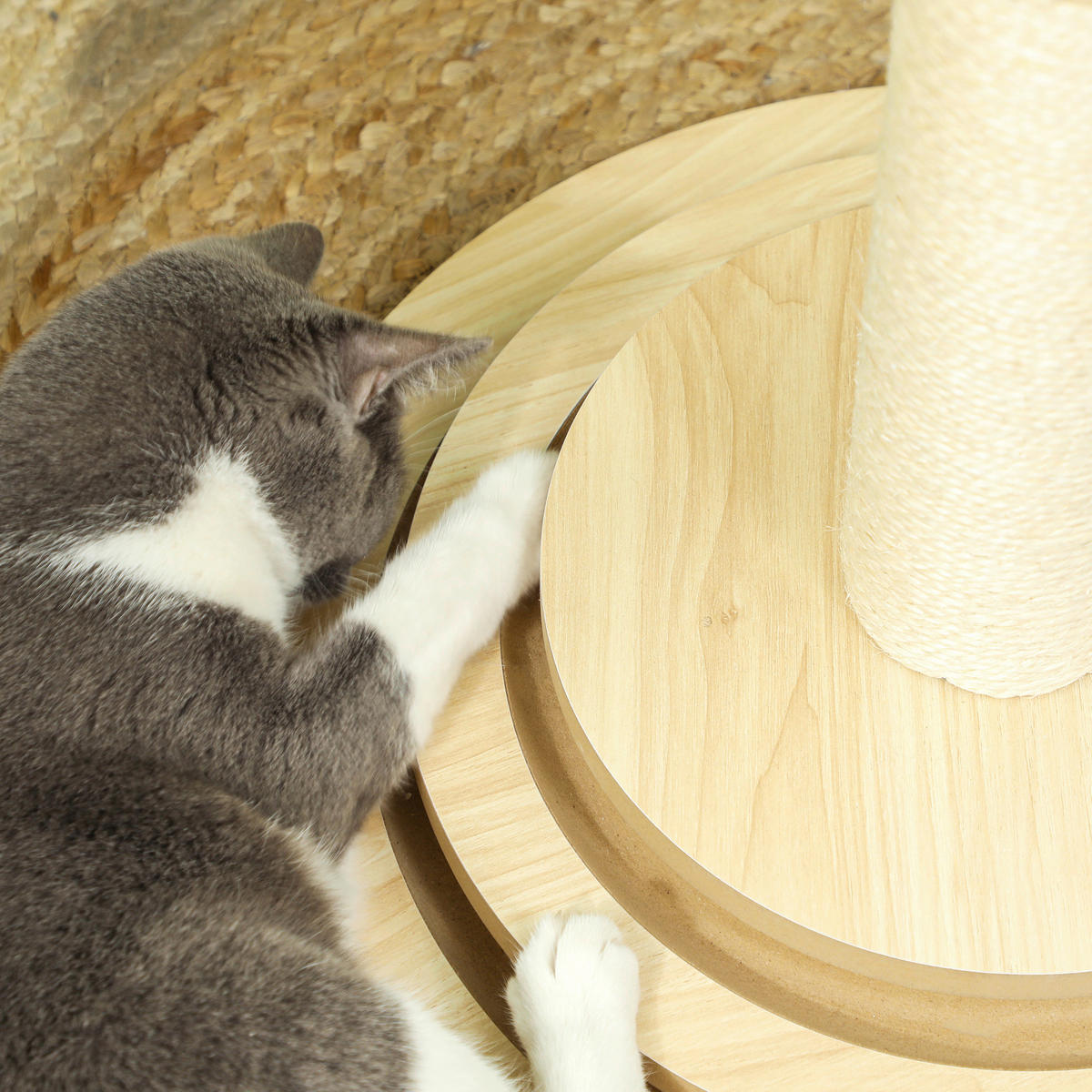 PawHut Kratzstamm Eiche Sisal B/H/L: ca. 45x69x45 cm Kratzstamm - Eiche (45,00/45,00/69,00cm) - PawHut
