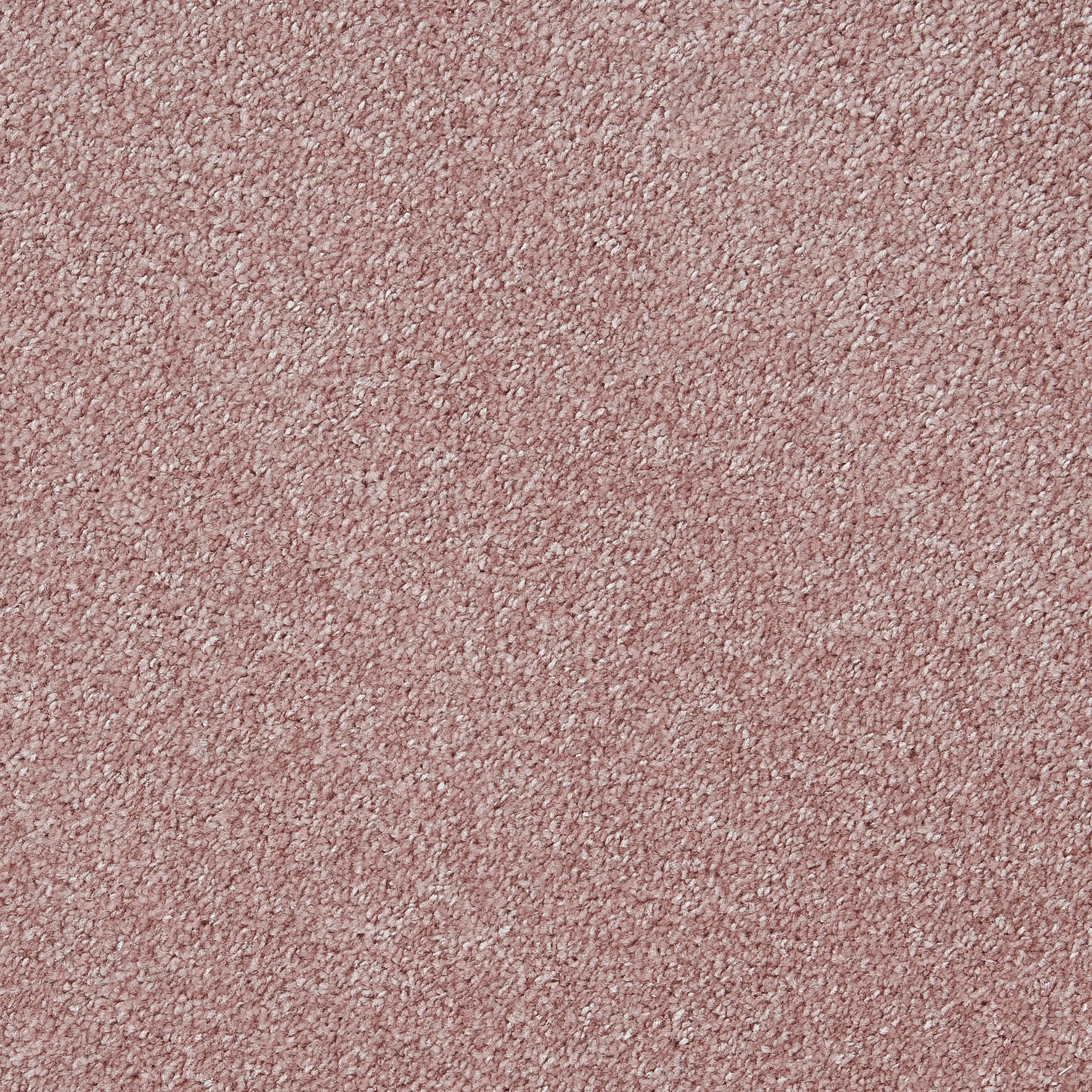 Teppichboden Lazio altrosa B: ca. 400 cm pro m² Lazio - altrosa (400,00cm)