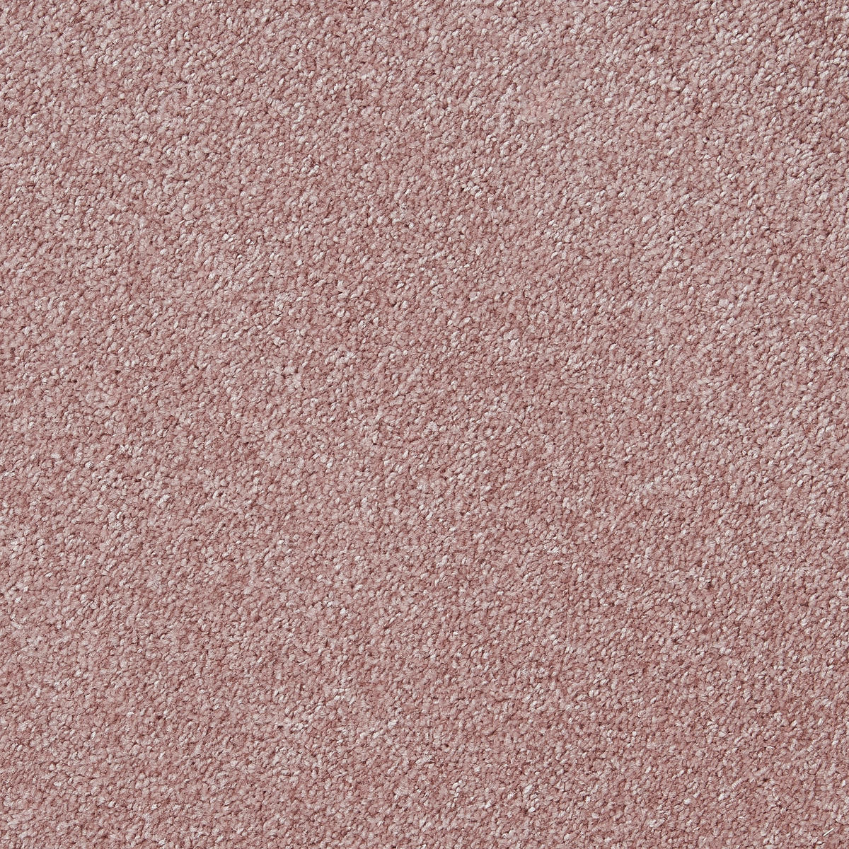 Teppichboden pro m² Lazio altrosa B: ca. 500 cm Lazio - altrosa (500,00cm)