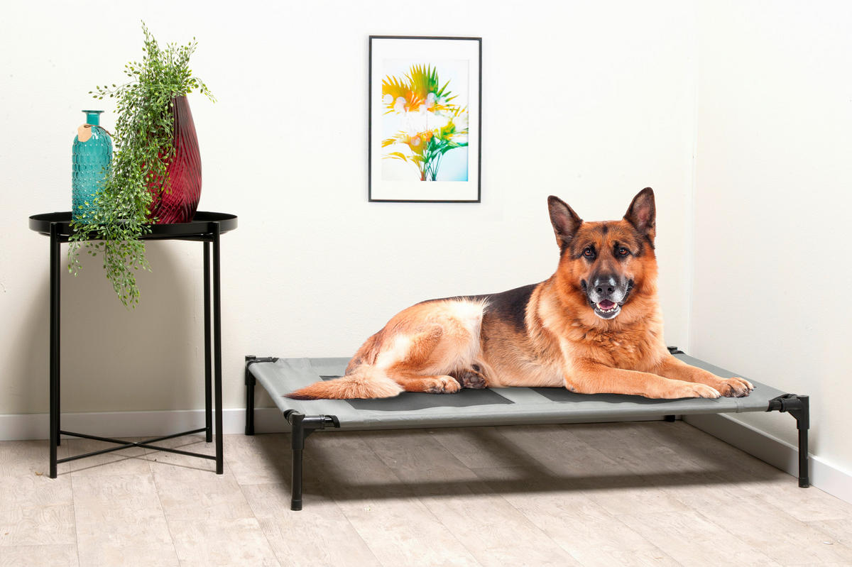 Pet Comfort Haustierbett grau Polyester B/H/L: ca. 106x17x76 cm Erhöhtes_Haustierbett_L - grau (76,00/106,00/17,00cm) - Pet Comfort