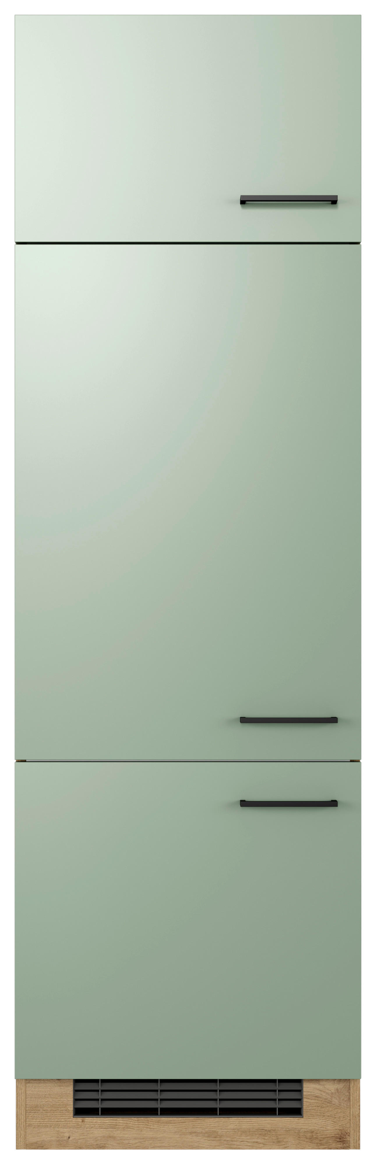 Kühlumbauschrank Cara grün B/H/T: ca. 60x200x57 cm Cara - Eiche/schwarz (60,00/200,00/57,00cm) - Flex-Well