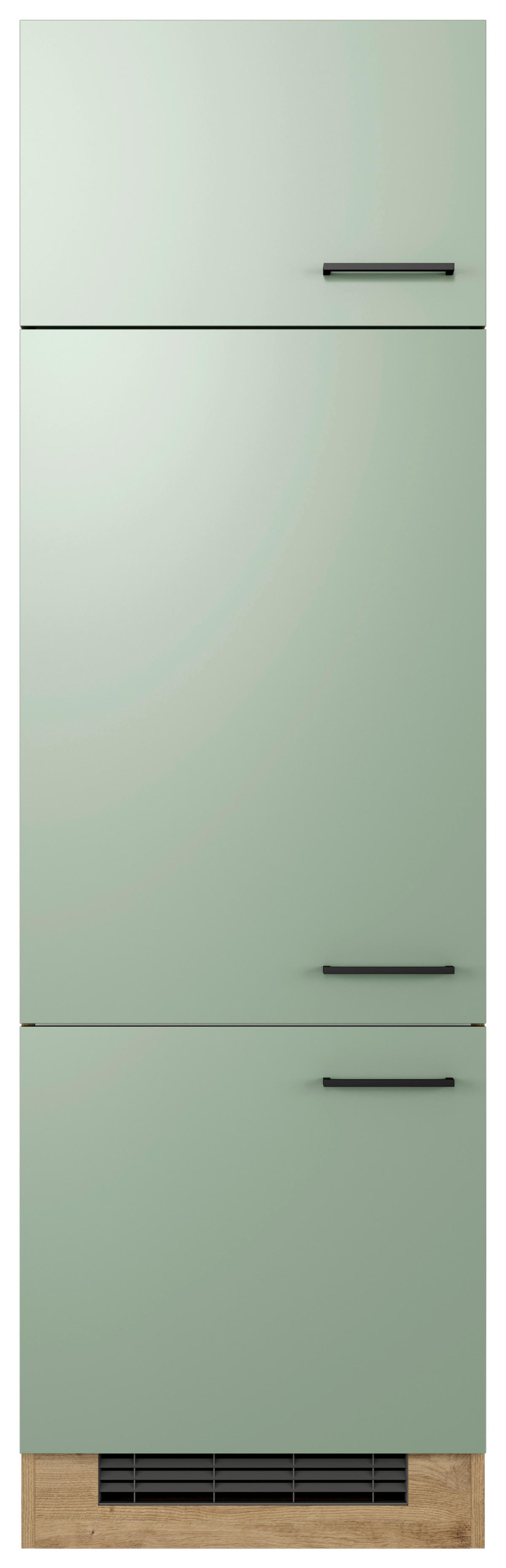 Kühlumbauschrank Cara grün B/H/T: ca. 60x200x57 cm Cara - Eiche/schwarz (60,00/200,00/57,00cm) - Flex-Well
