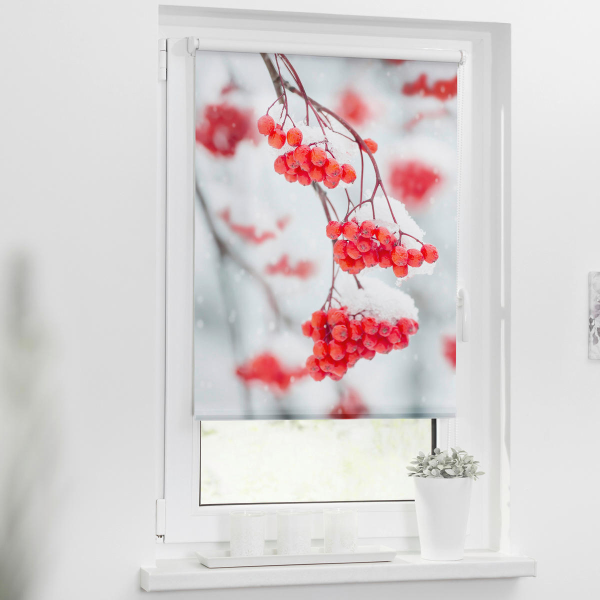 Verdunkelungsrollo Vogelbeeren rot B/L: ca. 60x150 cm Vogelbeeren - weiß/rot (60,00/150,00cm) - LICHTBLICK