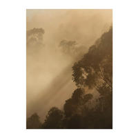 Komar Poster Golden Light Wald B/L: ca. 30x40 cm Golden Light - (30,00/40,00cm) - Komar