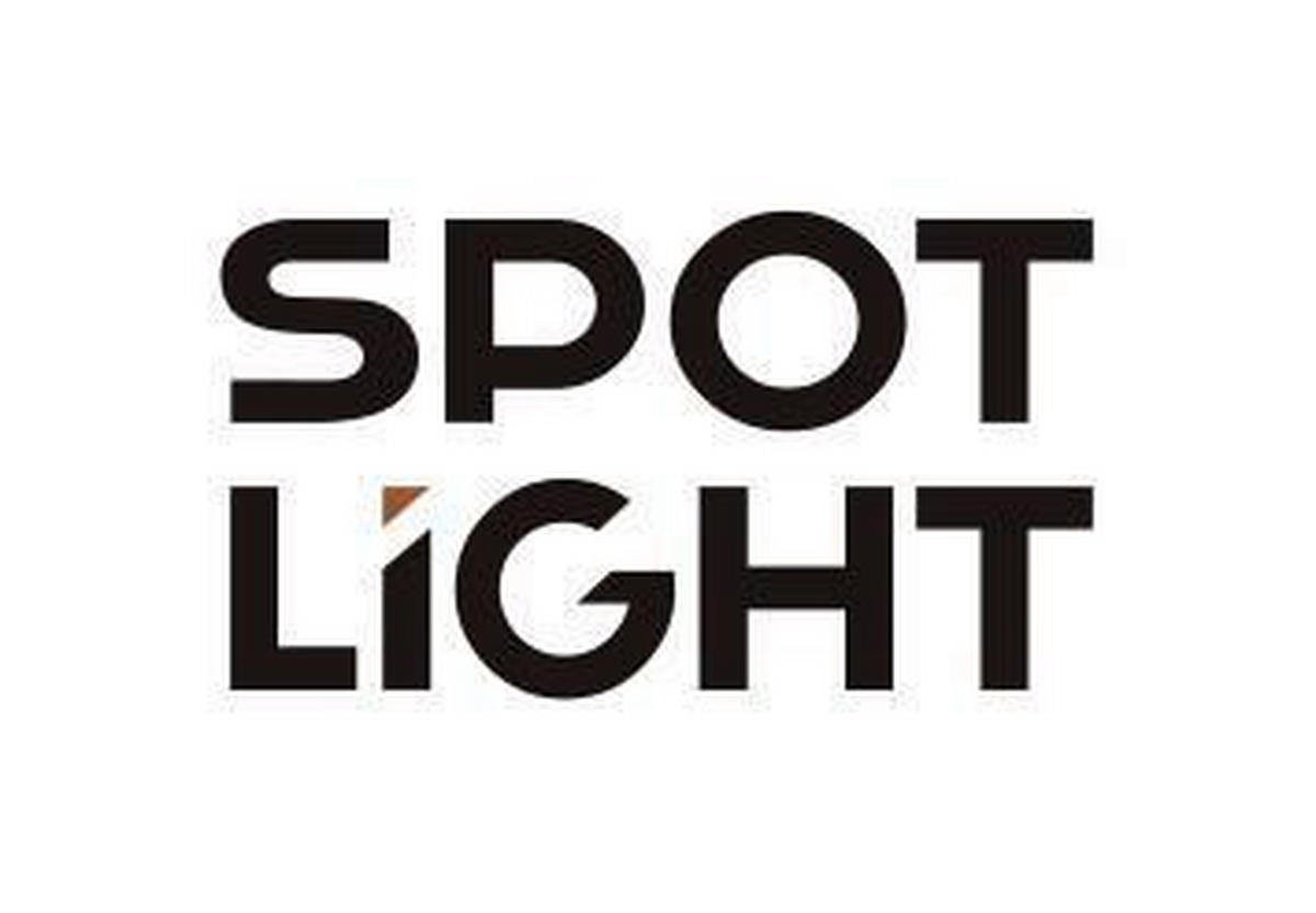 SPOT Light Pendelleuchte Emerald schwarz Metall L/D: ca. 110x17 cm E27 1 Brennstellen Pendelleuchte_Emerald - schwarz (17,00cm) - SPOT Light
