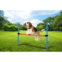 Pet Toys Agility Hürdenset blau Kunststoff Agility_Hürdenset - blau/rot - Pet Toys