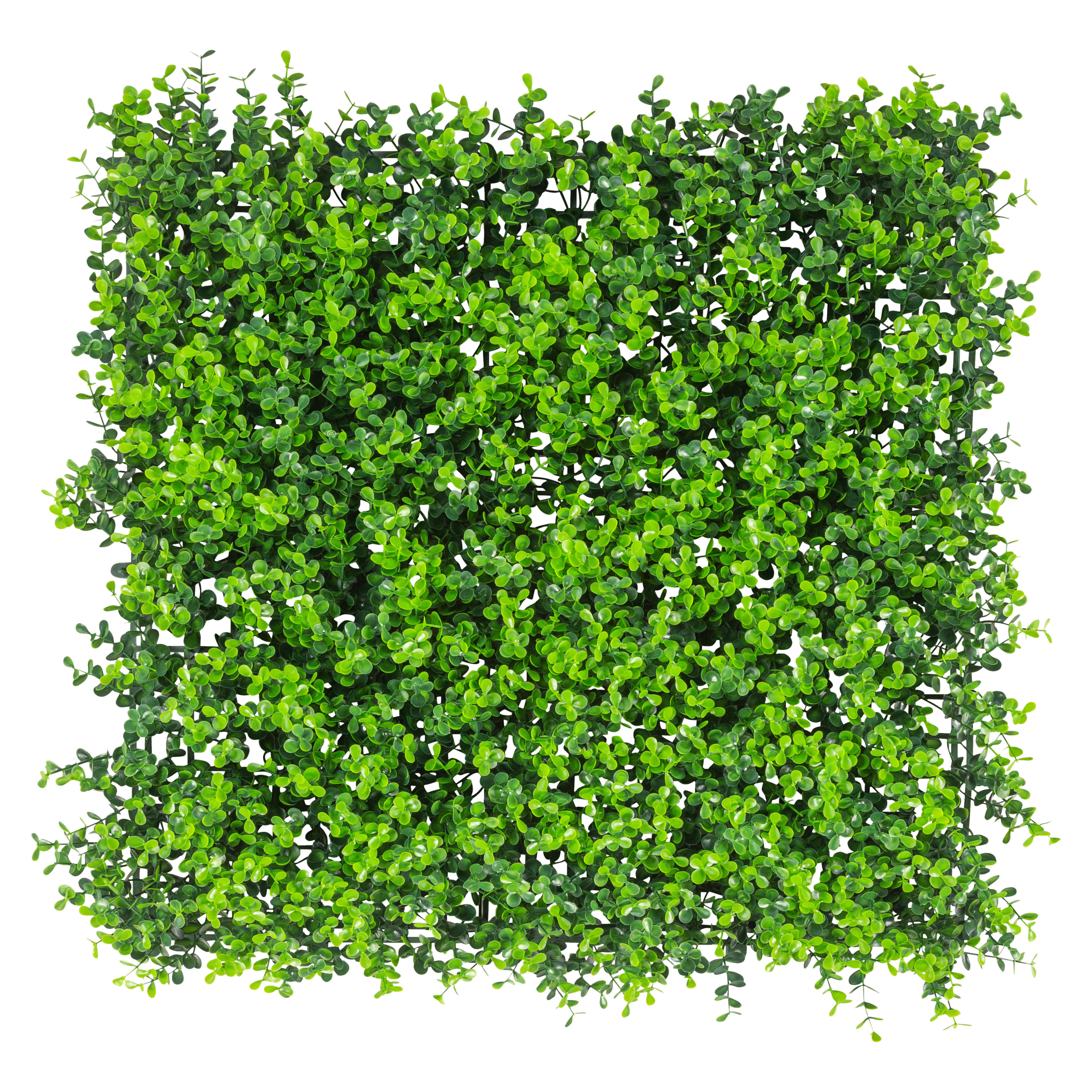 Dekorationsartikel Wand-Begrünungsmatte