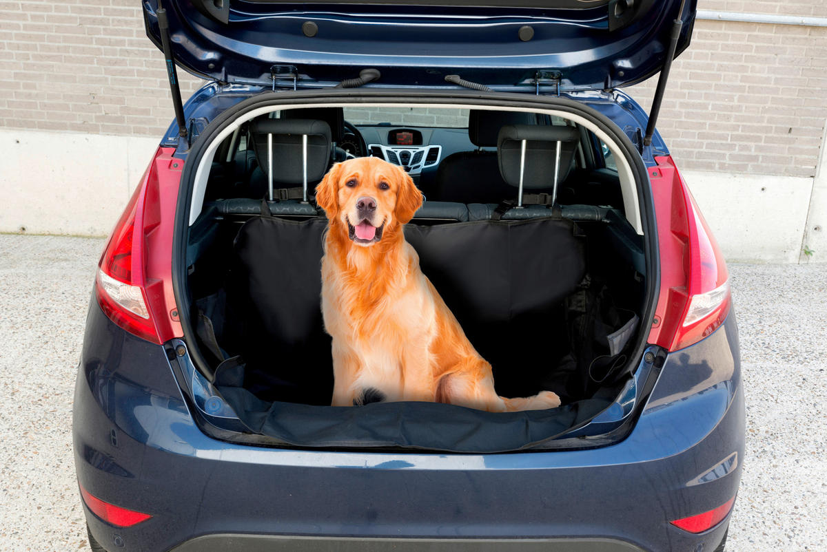 Hundedecke Auto Kofferraum schwarz Polyester B/H/L: ca. 104x33x155 cm Haustier_Autositzbezug - schwarz (155,00/104,00/33,00cm)