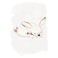 Komar Poster Sleepy Bunny Waldtiere B/L: ca. 30x40 cm Sleepy Bunny - (30,00/40,00cm) - Komar