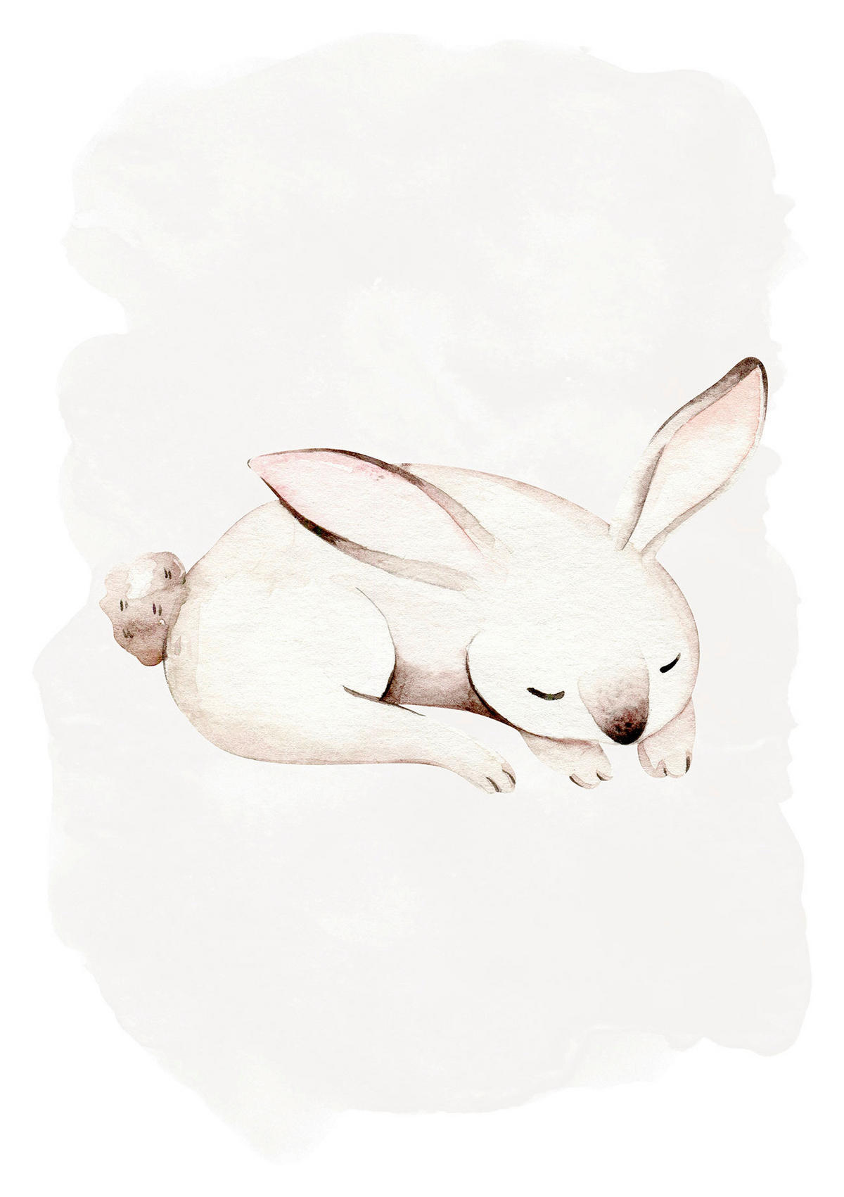 Komar Poster Sleepy Bunny Waldtiere B/L: ca. 30x40 cm Sleepy Bunny - (30,00/40,00cm) - Komar