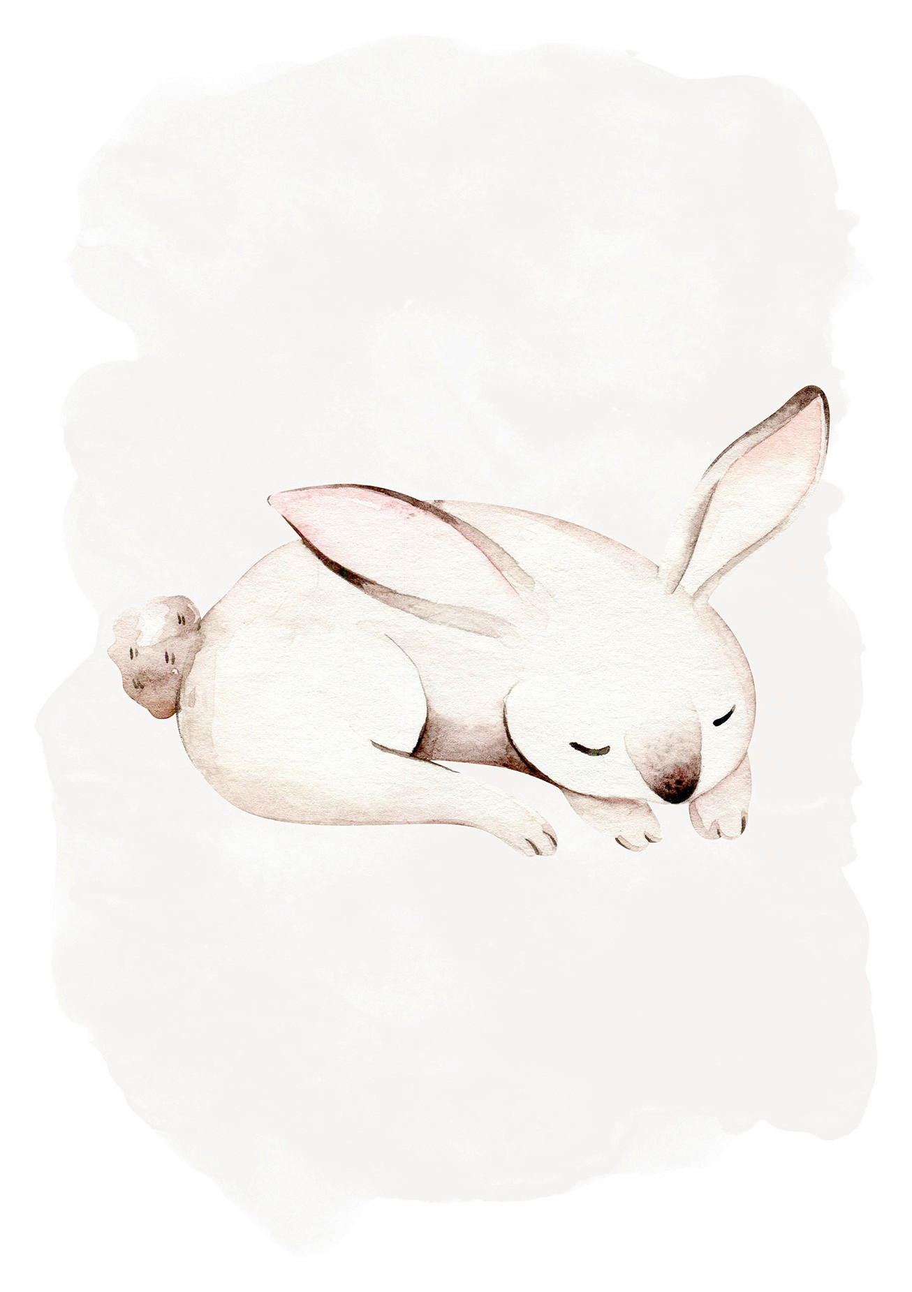 Komar Poster Sleepy Bunny Waldtiere B/L: ca. 30x40 cm günstig online kaufen