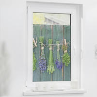 LICHTBLICK Fensterfolie Kräuter  Kräuter grün B/L: ca. 50x100 cm Kräuter - grün (50,00/100,00cm) - LICHTBLICK