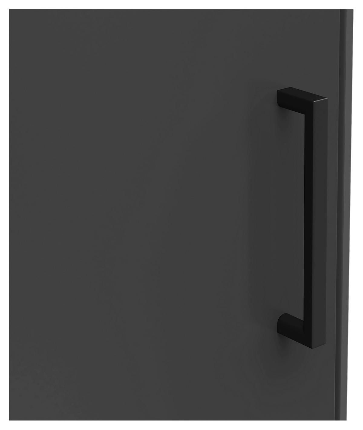 Schrank Multi-Stauraum Typ 43 anthrazit B/H/T: ca. 101x195x79 cm Multi-Stauraum Typ 43 - anthrazit (101,00/195,00/79,00cm)