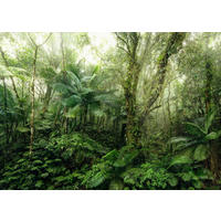 Komar Fototapete Mindfulness Wald B/L: ca. 350x250 cm Mindfulness - (350,00/250,00cm) - Komar