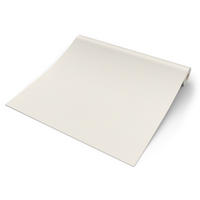 Vliestapete Uni beige B/L: ca. 53x1005 cm Vliestapete_395491 VW1 unten - beige (53,00/1005,00cm)